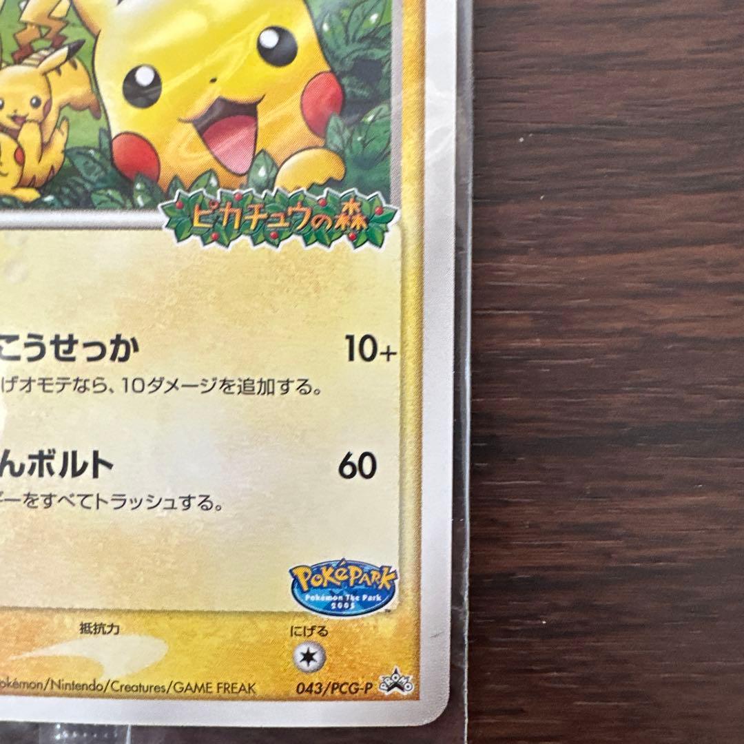 ル*ド様 【未開封】ポケパークのピカチュウ 043/PCG-P