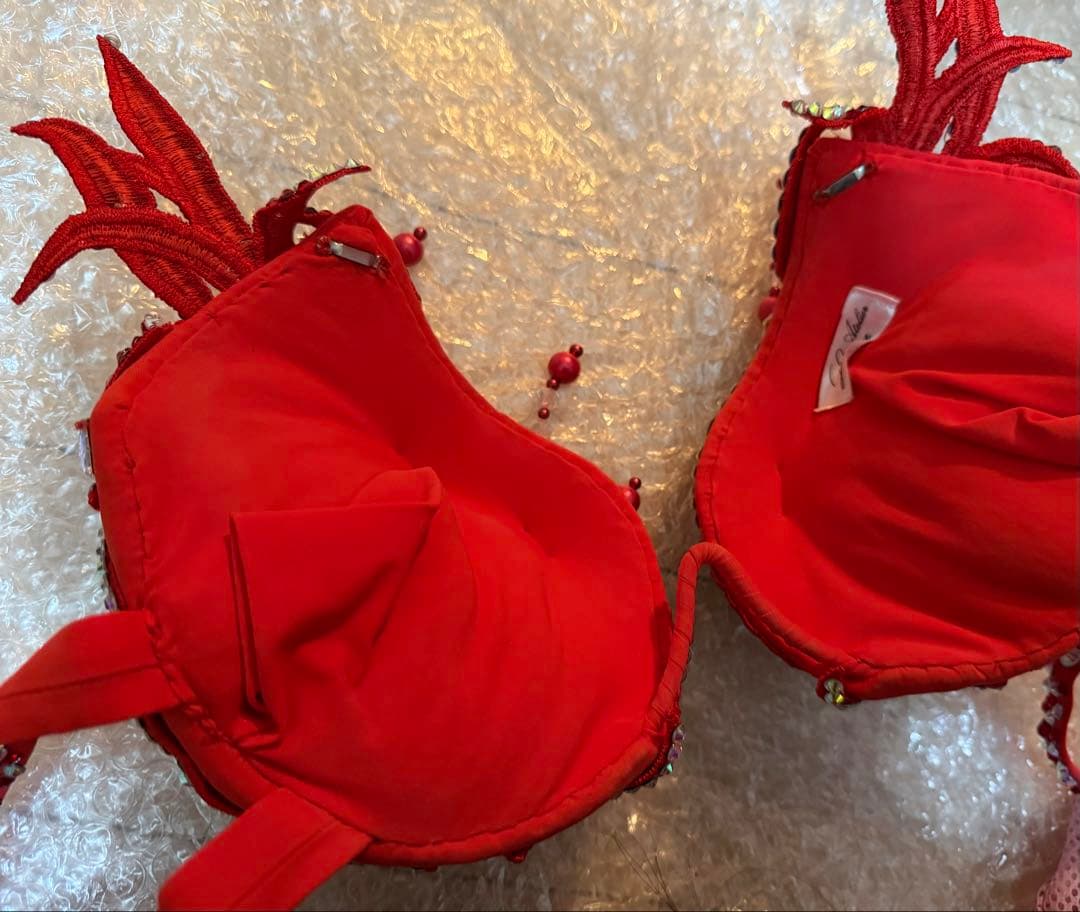 Svetlaya bellydanceベリーダンス衣装