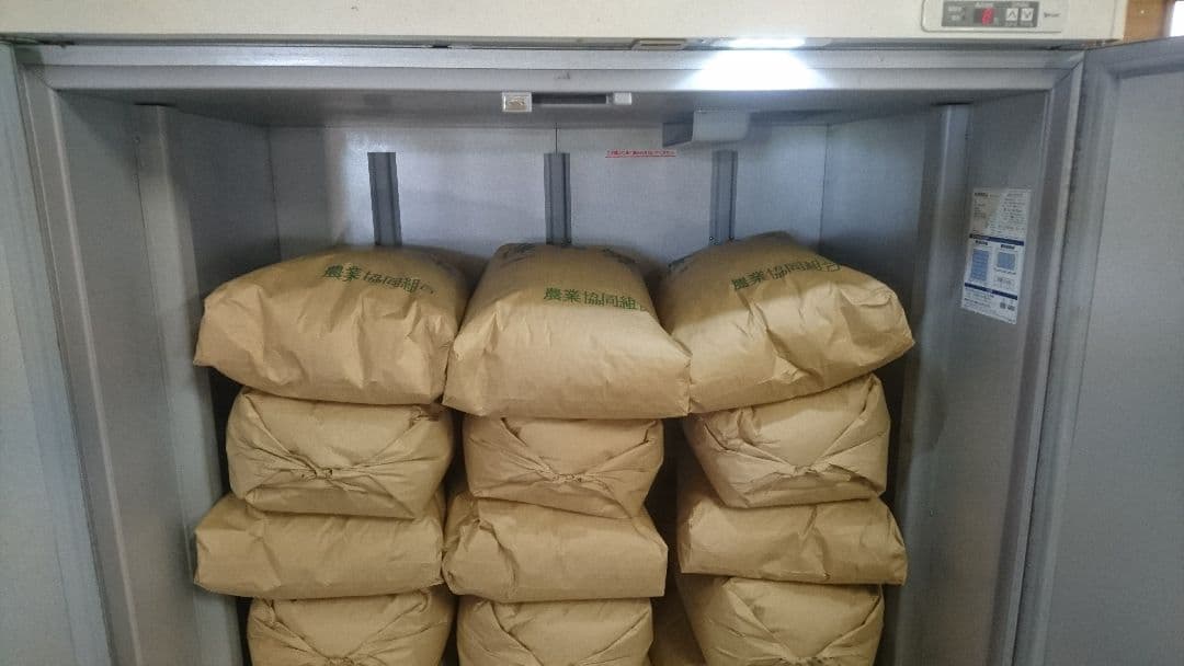 米 10キロ 栃木県産コシヒカリ