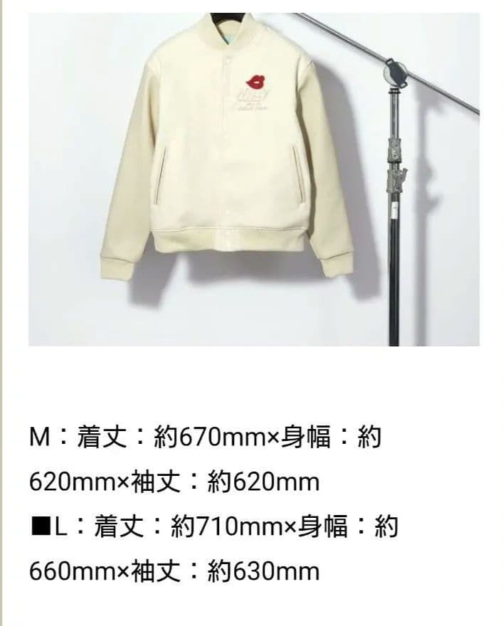 Nissy にっしー4thLIVEボンボラスタジャン LサイズAAA西島隆弘