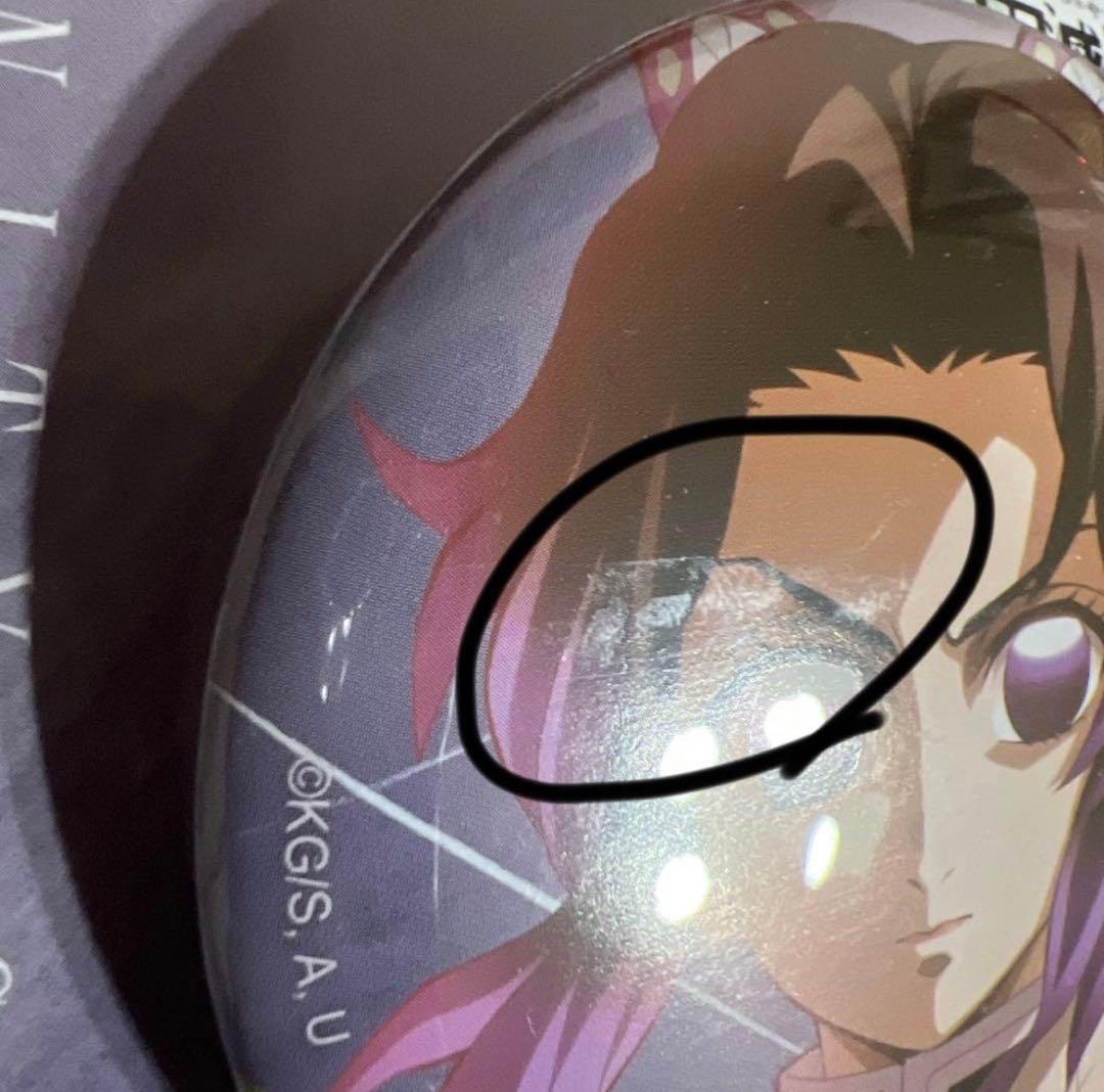 鬼滅の刃 無限城 柱展 胡蝶しのぶ