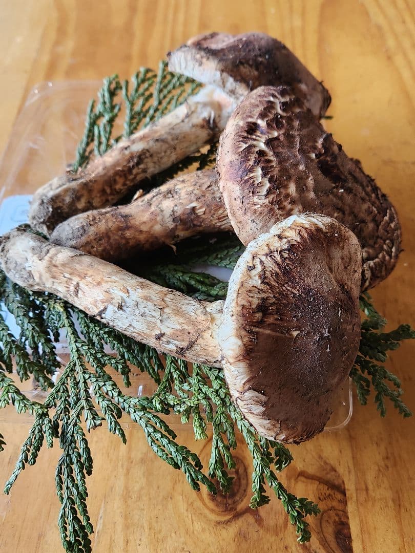 北海道産松茸　 387g