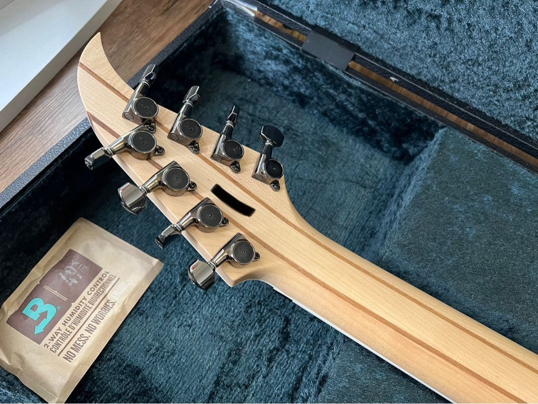 【8弦】Caparison Apple Horn 8 2022