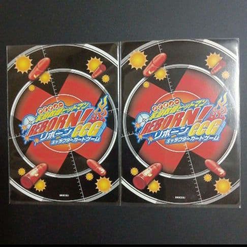 家庭教師ヒットマン　リボーンCCG　ボンゴレI世 沢田綱吉　2枚セット