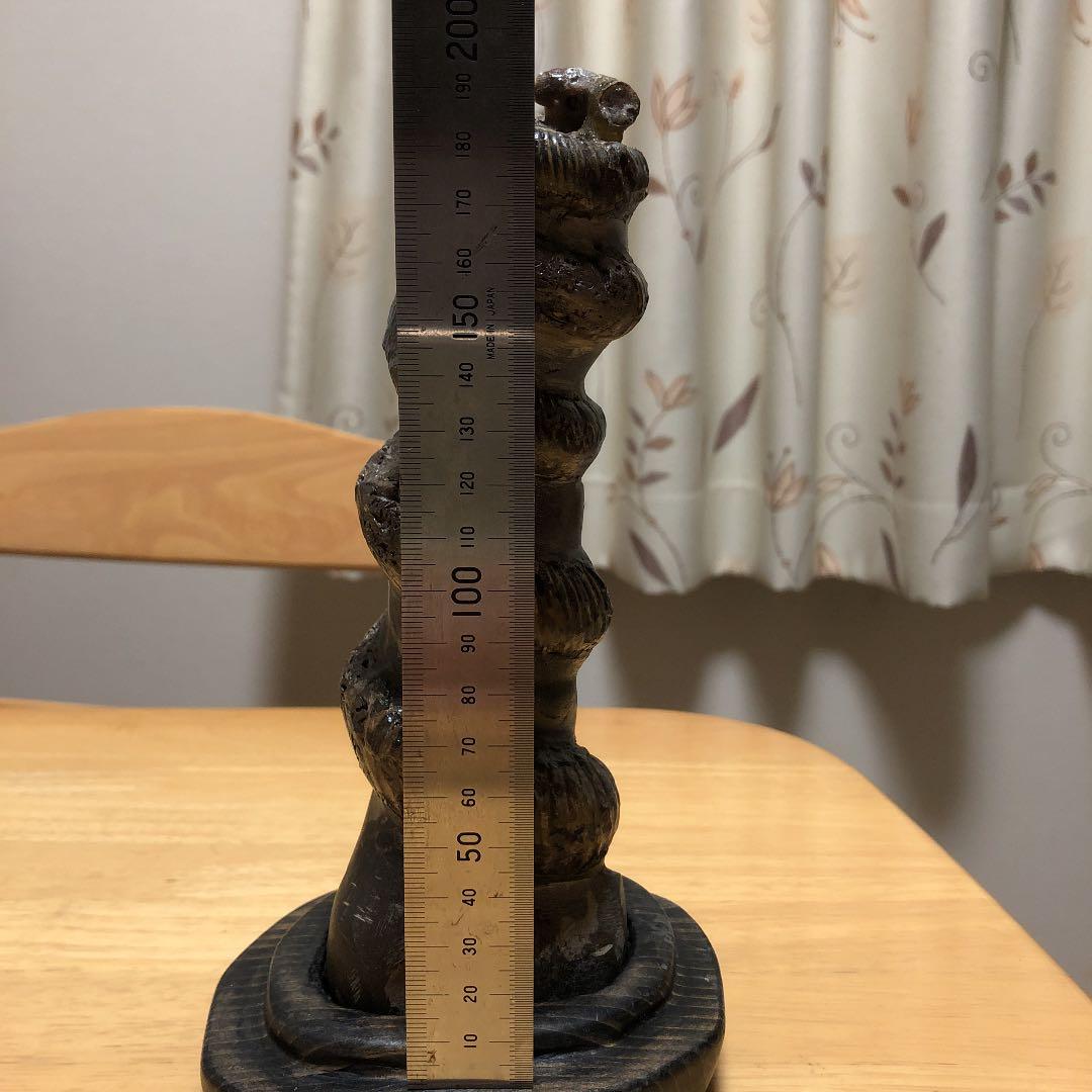 化石　　異常巻き