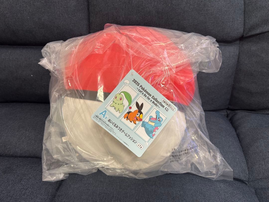 ピカチュウ ポケモン 一番くじ ラストワン賞 A賞　B賞セット商品