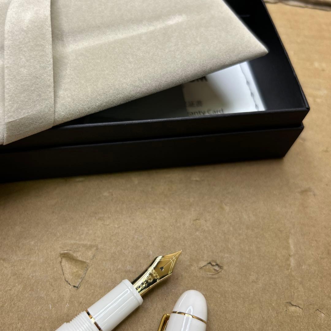 プラチナ万年筆 センチュリー シュノンソーホワイト 超極細 PNB-15000