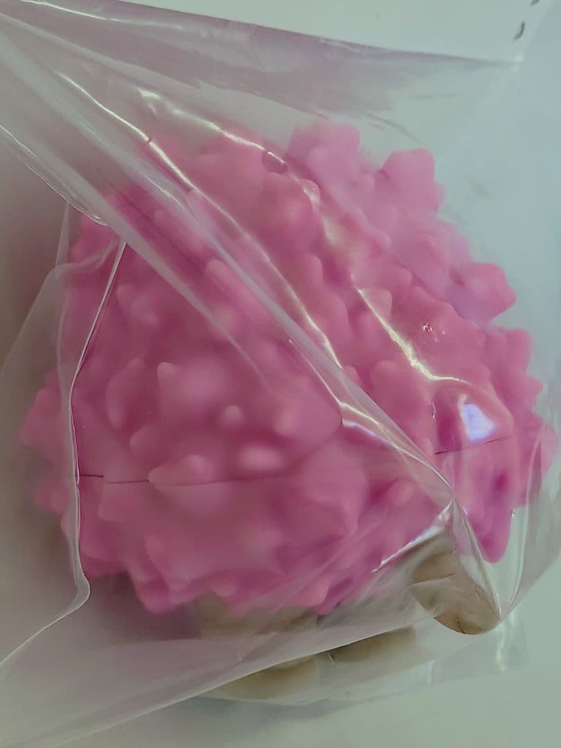 POINT TOY ピグモン ワンフェス WF2026冬 POINTTOY