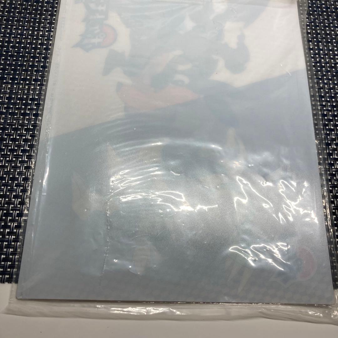 ポケットモンスター ブラック ホワイト 3D カード 下敷き b