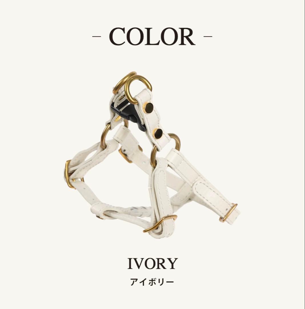 CITYDOG レザー ハーネスMサイズ&リードセット　アイボリー
