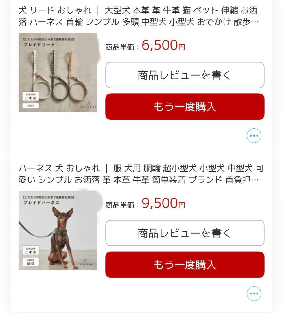 CITYDOG レザー ハーネスMサイズ&リードセット　アイボリー