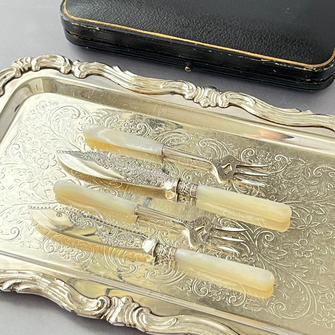 【Allen & Darwin】【白蝶貝】ミニサーバーセット 4本 ケース