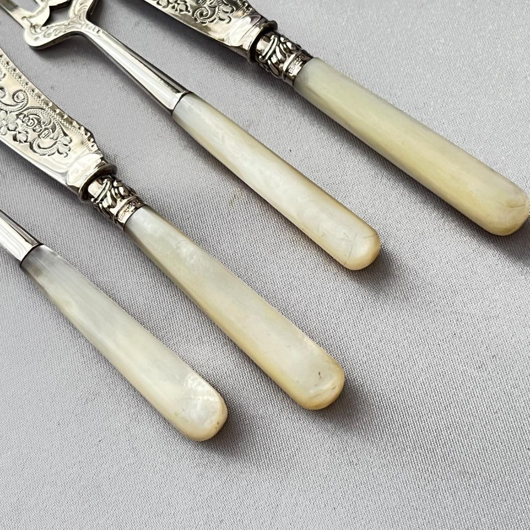 【Allen & Darwin】【白蝶貝】ミニサーバーセット 4本 ケース