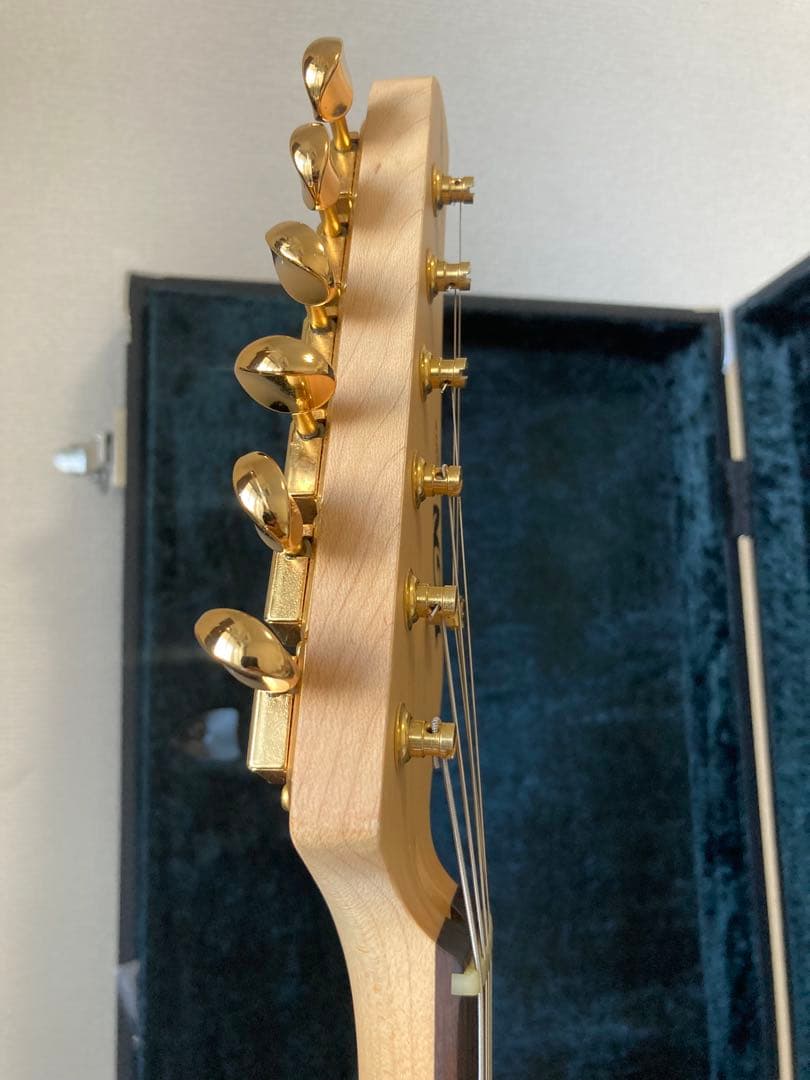 Fujigen EOS-FM-Rフレイムメイプル ほぼ未使用品 メンテナンス済み