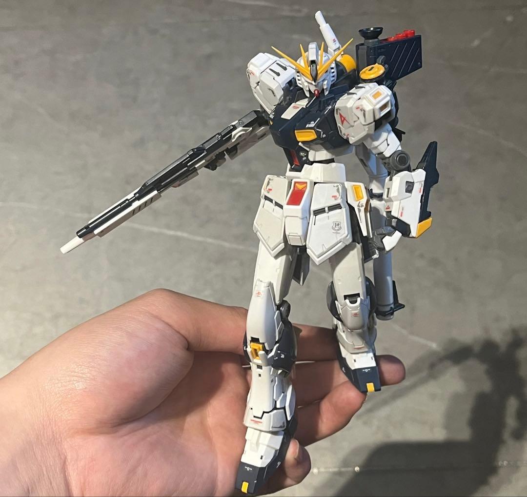 RG ガンプラ 完成品2体セット