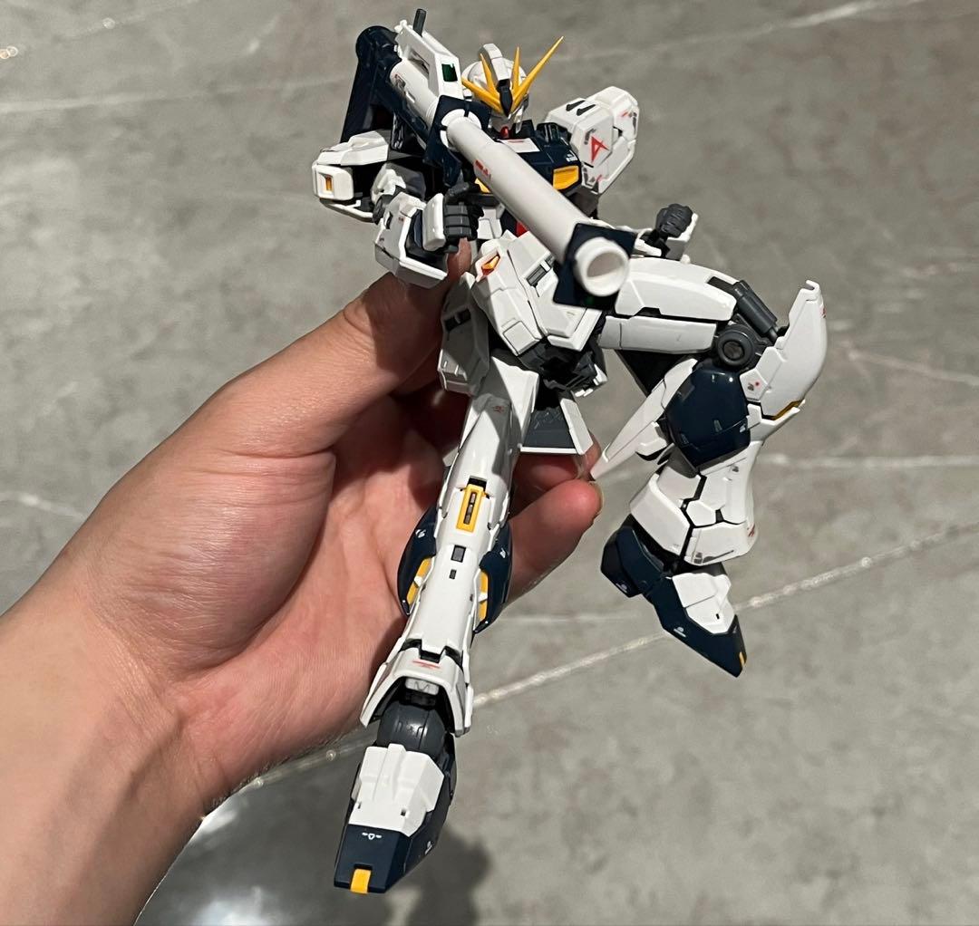 RG ガンプラ 完成品2体セット