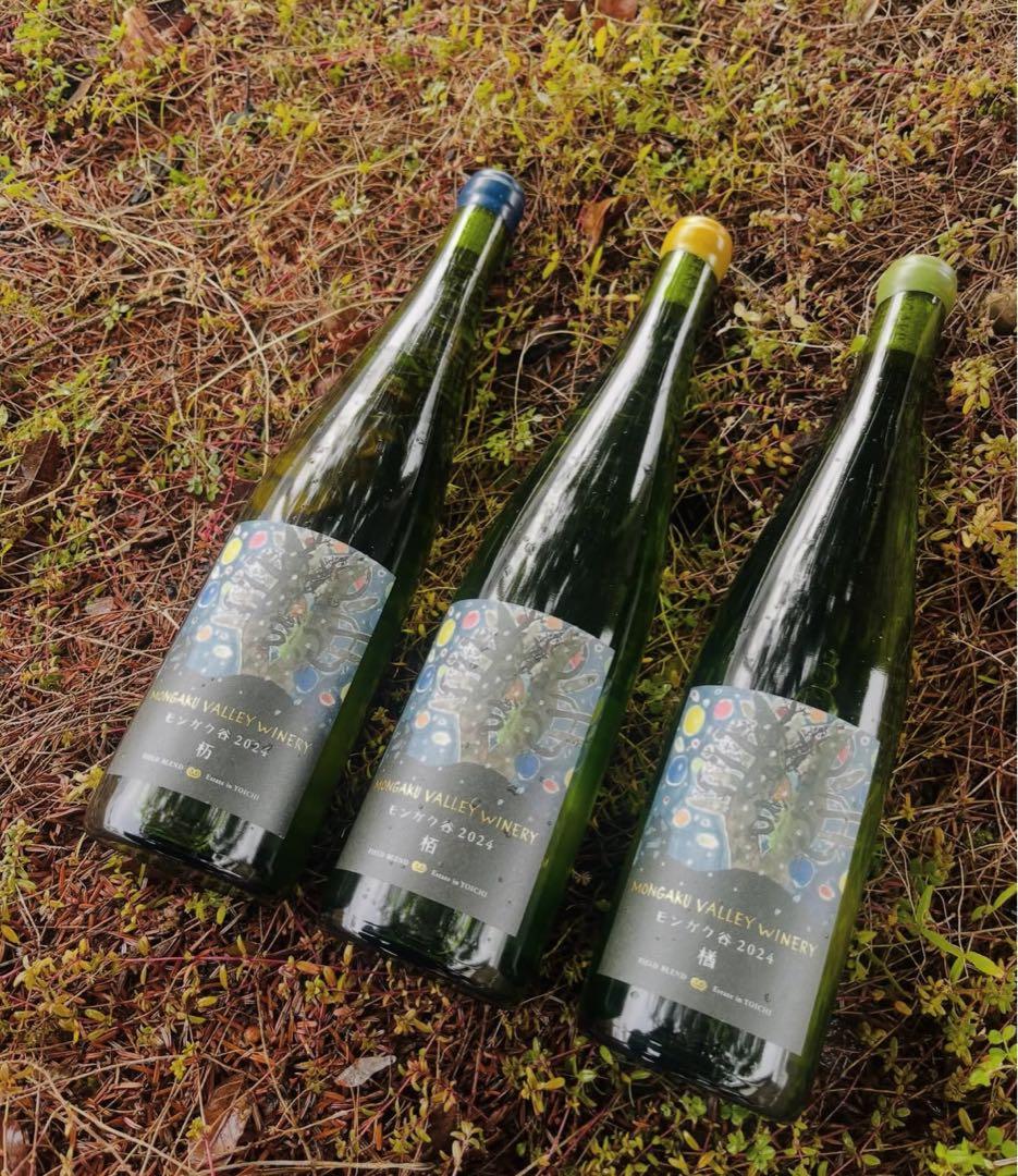 モンガク谷　2024 ３本セット