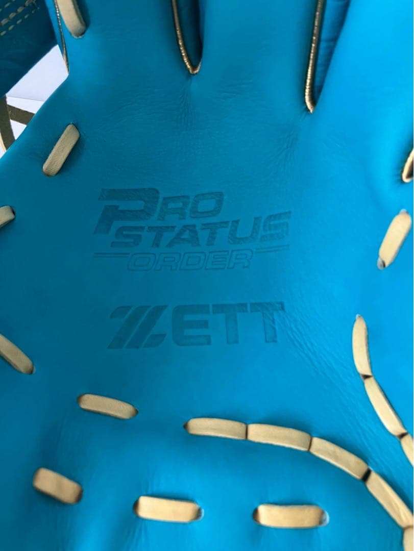 プロステイタス　グローブ　軟式　父の日限定モデル　内野