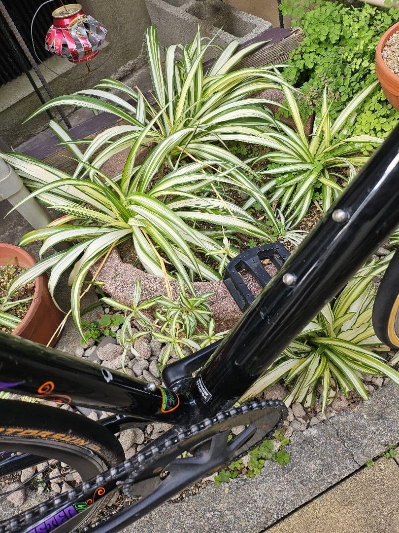 スペシャライズド　ピスト　フレームセット