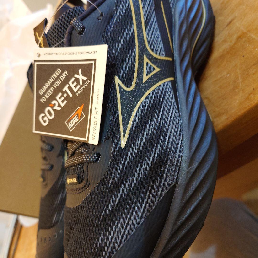 その他 Mizuno Wave Rider GTX 2 25.5cm