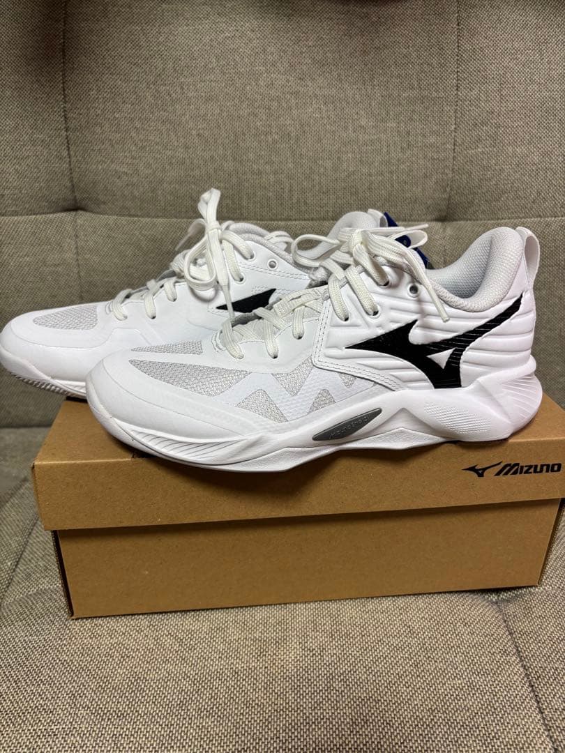 シューズ Mizuno Wave Momentum Pro 23.0cm