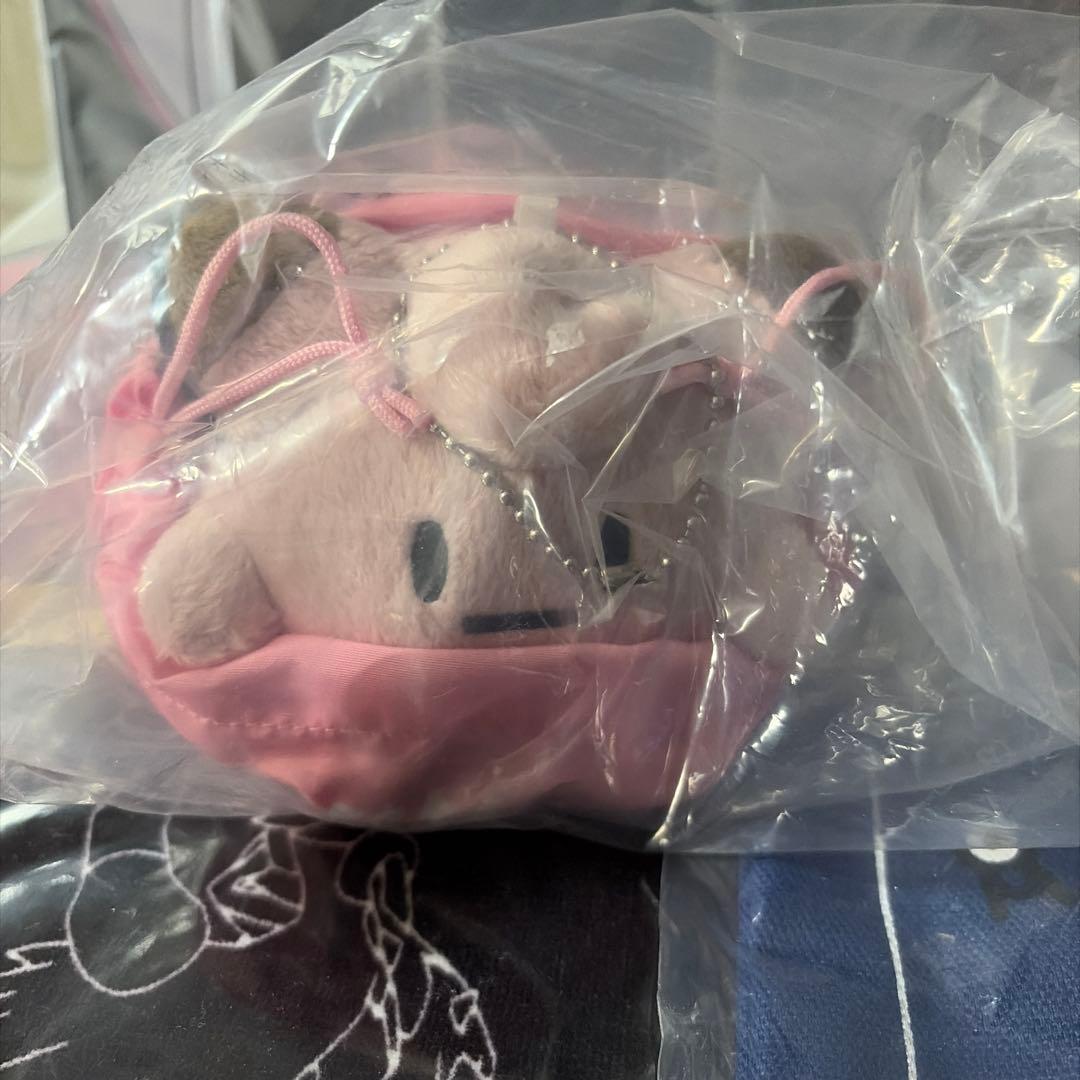 ポケモン　一番くじ　C賞トートバッグ　E賞巾着入りマスコット　おまけ付き