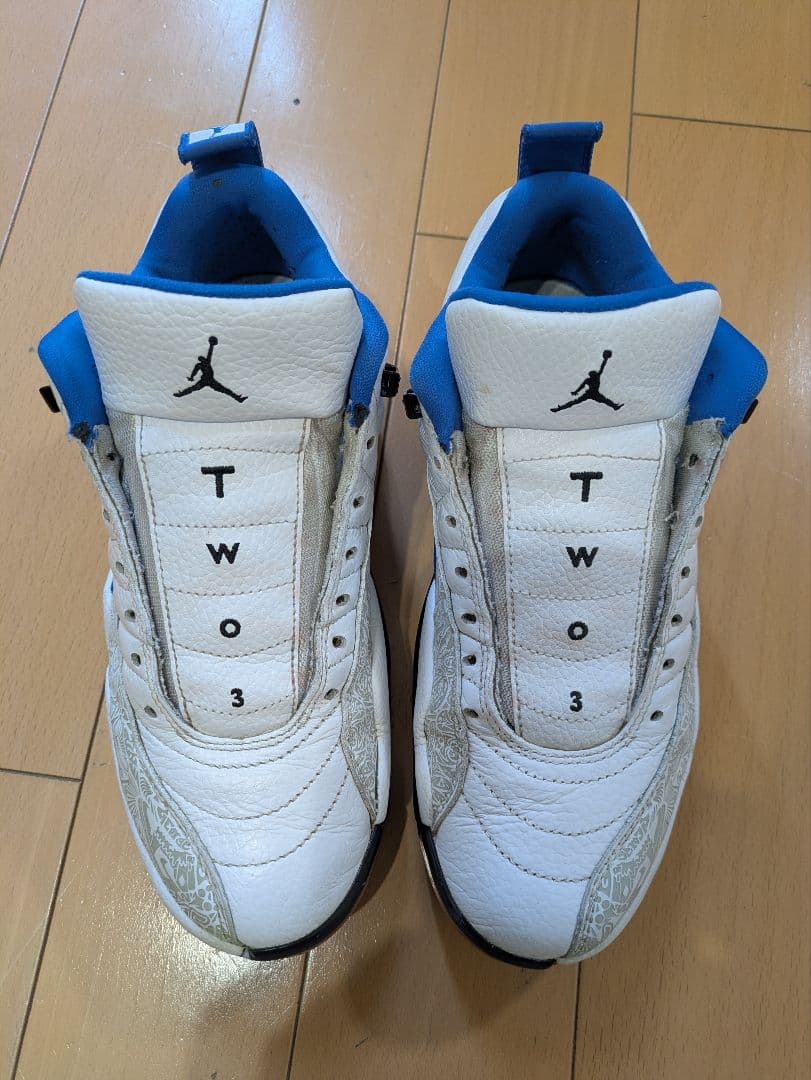 Jordan 12 ゴルフ ジョーダン 25.5cm (26cm)