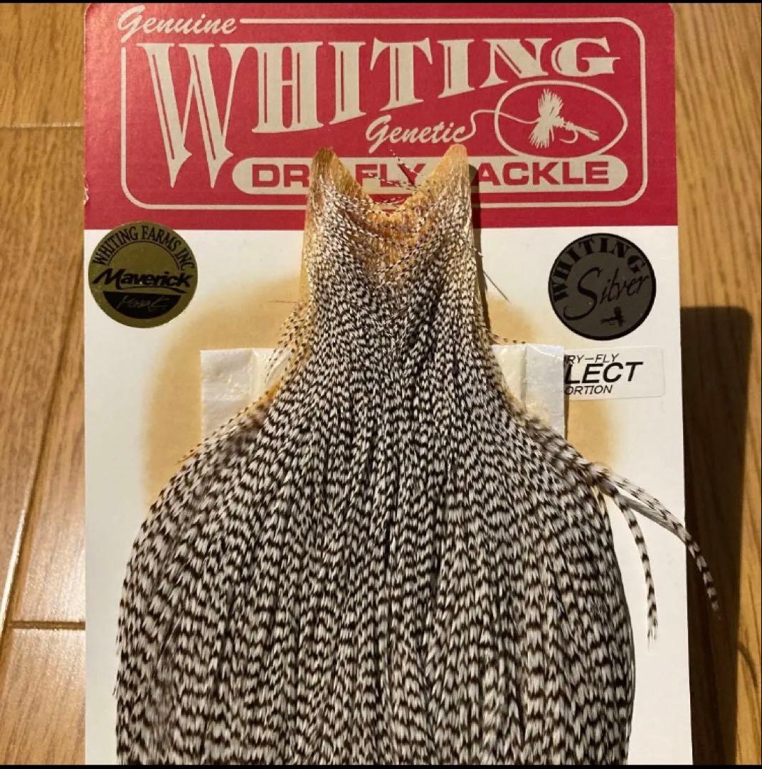 ☆ホワイティング　ドライフライハックル　グリズリー☆