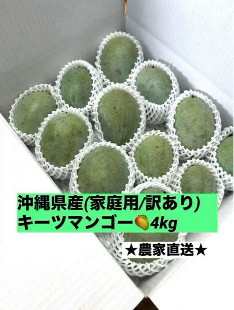 <ご家庭用/訳あり>ミニキーツマンゴー4kg ★沖縄県産★F