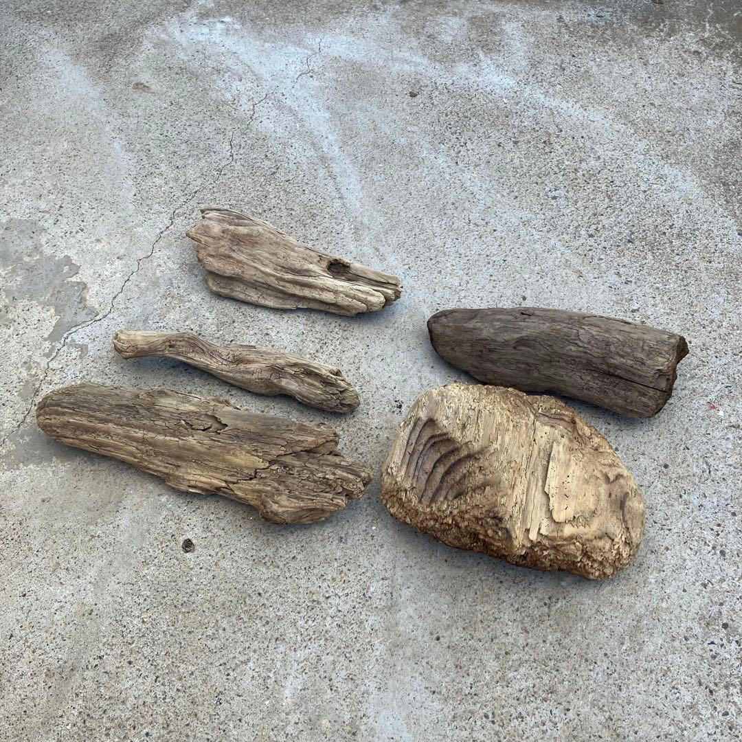 流木 5点セット 自然素材
