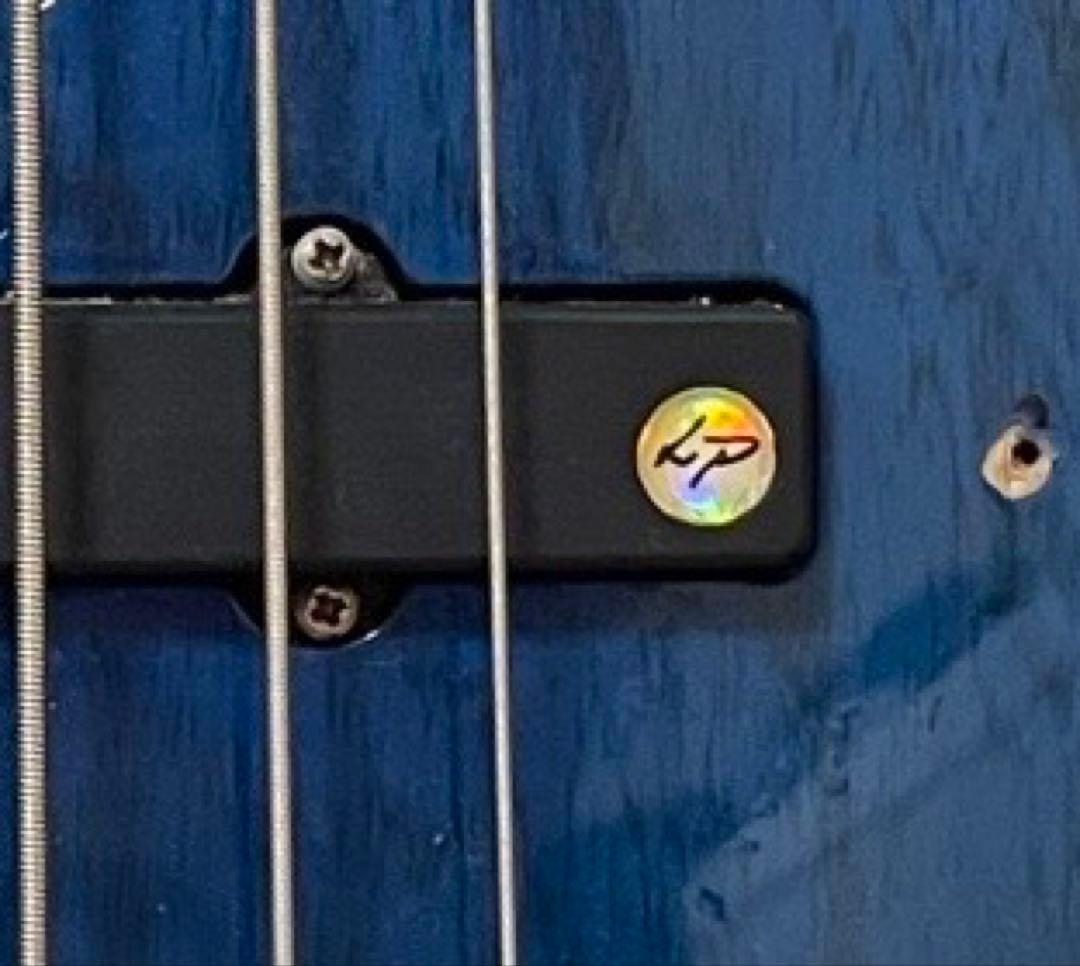 【超希少】【LanePoorPU】 Inner Wood エレキベース