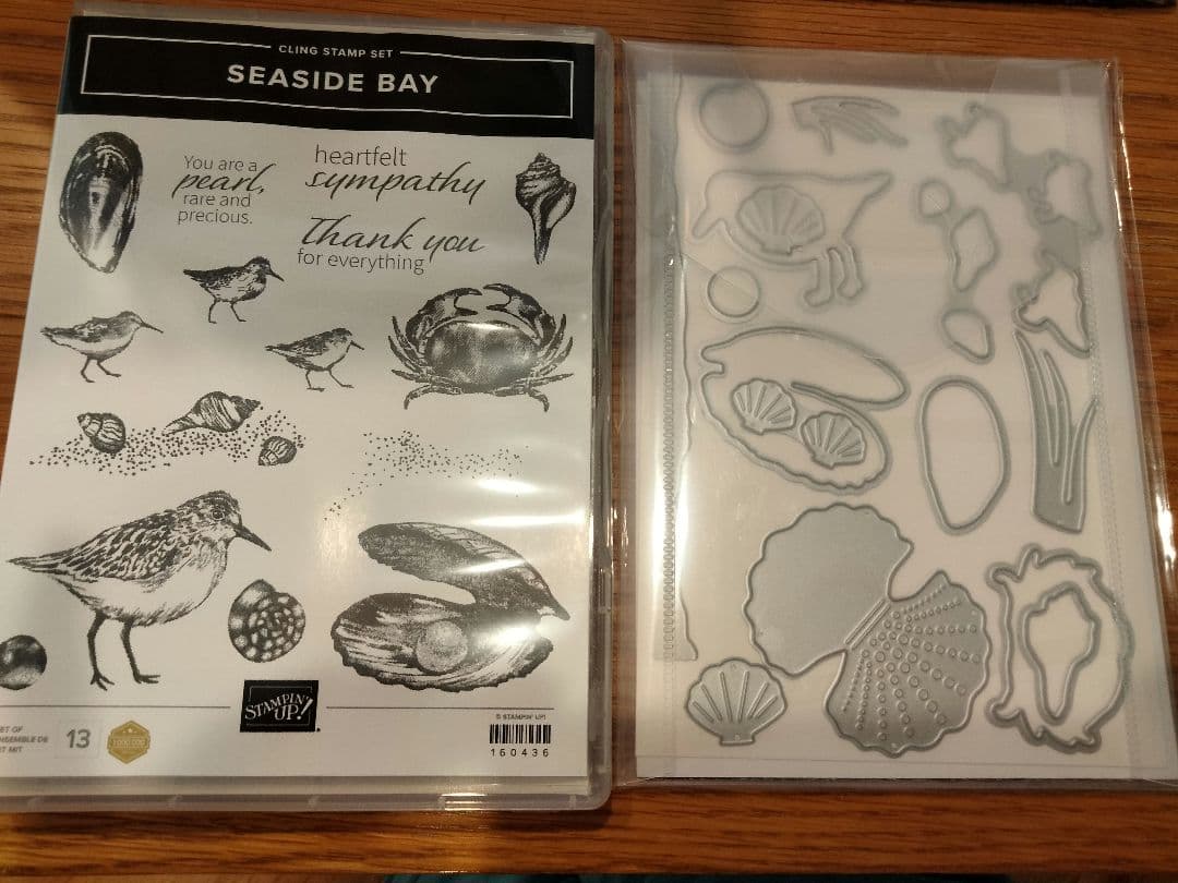 １点限り♡未使用　シーサイドスタンプ＆ダイ　スタンピンアップ