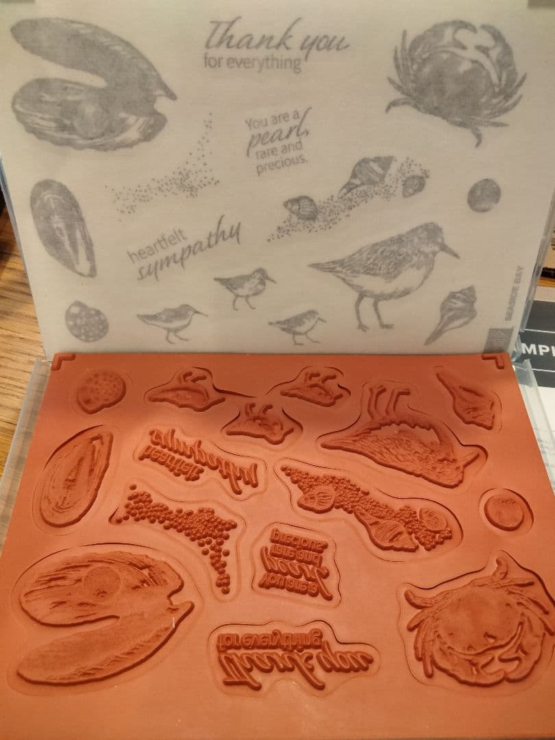 １点限り♡未使用　シーサイドスタンプ＆ダイ　スタンピンアップ