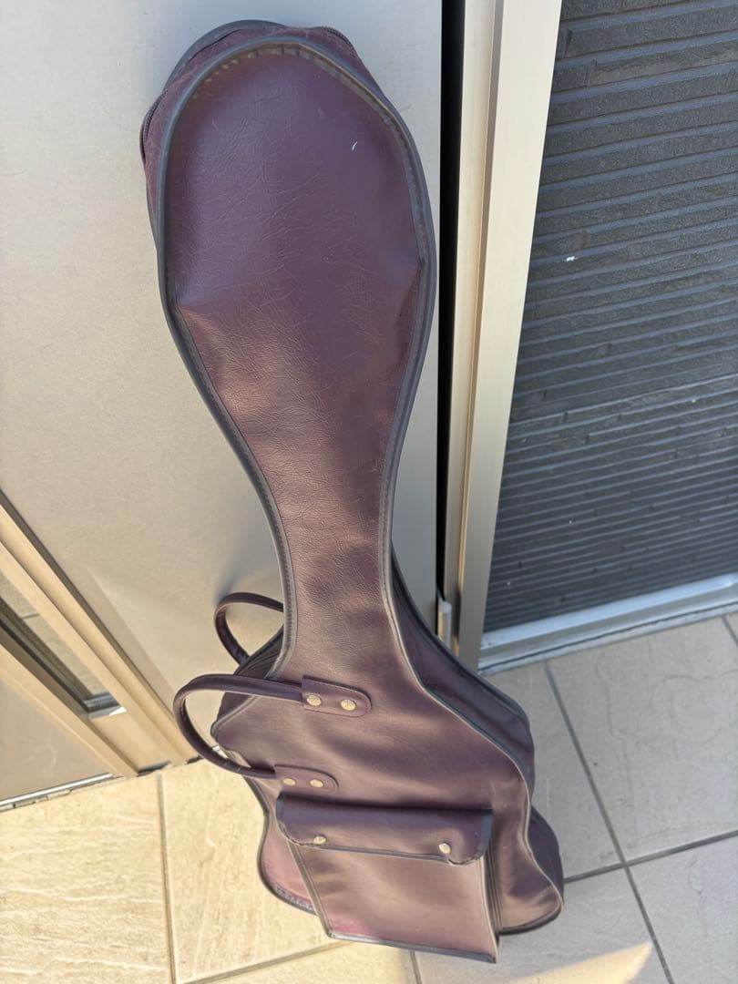 Black Dog by Aria pro Ⅱ