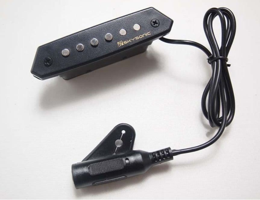 アコギSeagull + ピックアップ