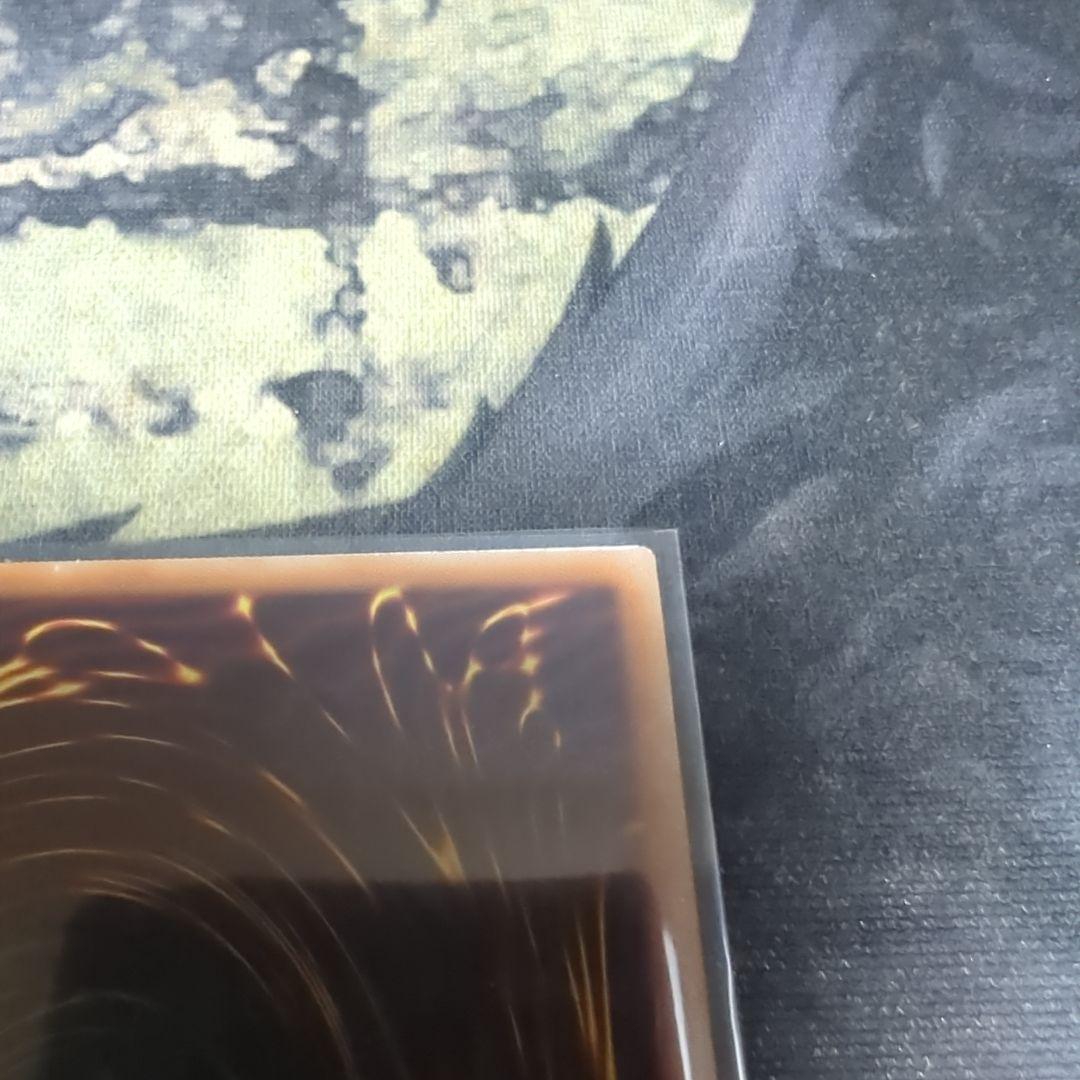 霆王の閃光　プリシク