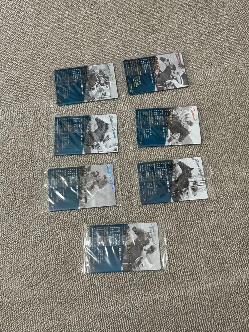 サラブレッドホースコレクション　箱押しサイン入りまとめ売り