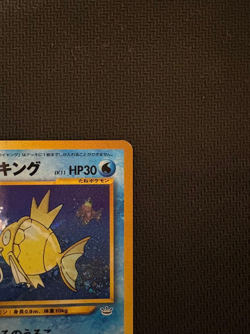 ひかるコイキング　旧裏②