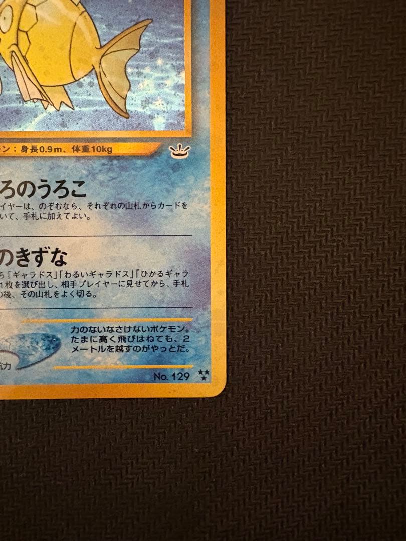 ひかるコイキング　旧裏②