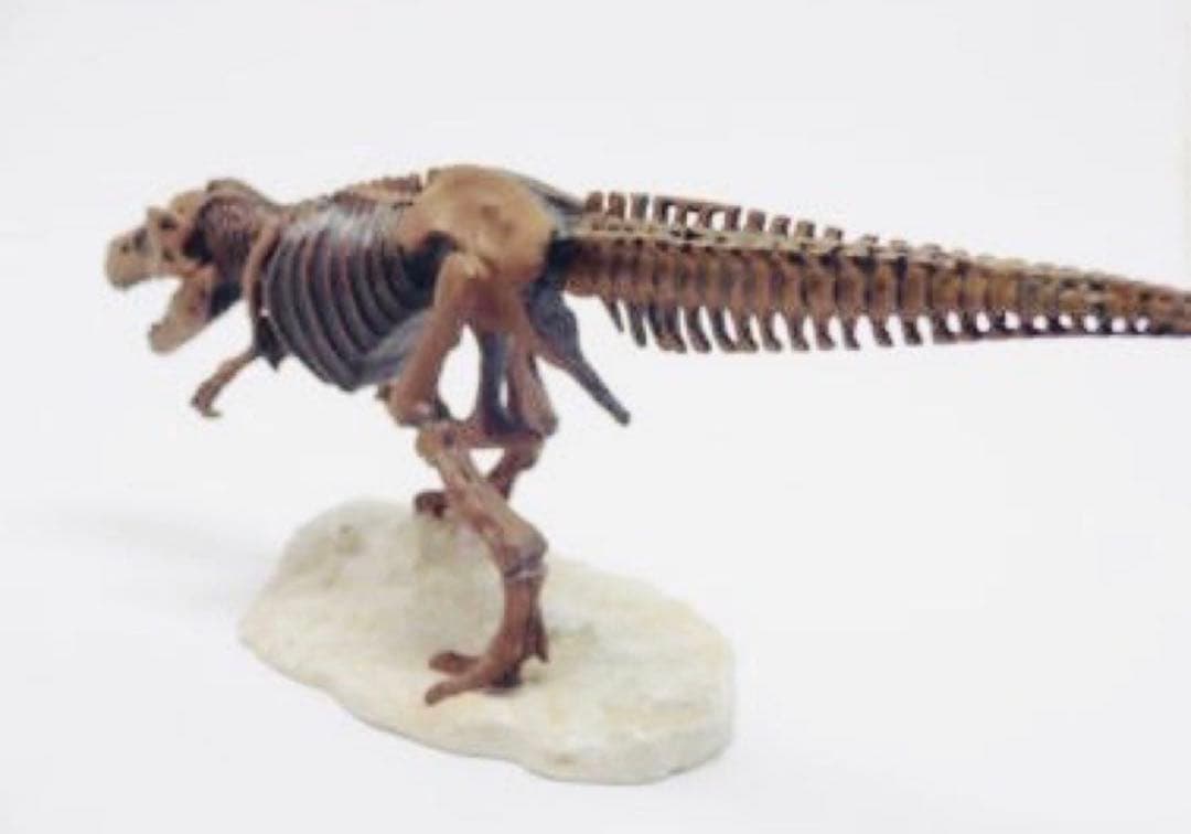 【限定3体セット】海洋堂スーパーサウルス/SUE/チュアンジェサウルス恐竜博公式