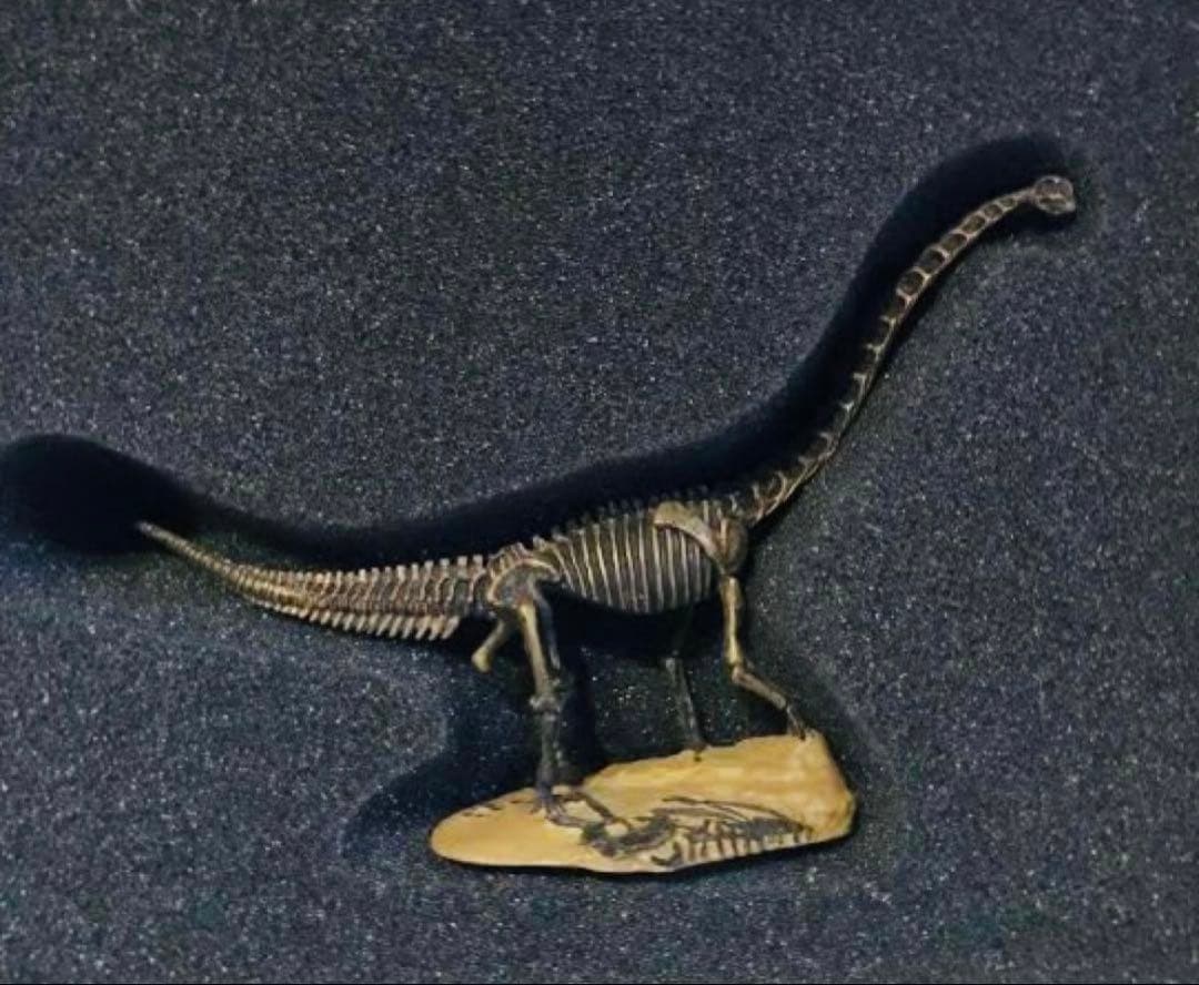 【限定3体セット】海洋堂スーパーサウルス/SUE/チュアンジェサウルス恐竜博公式