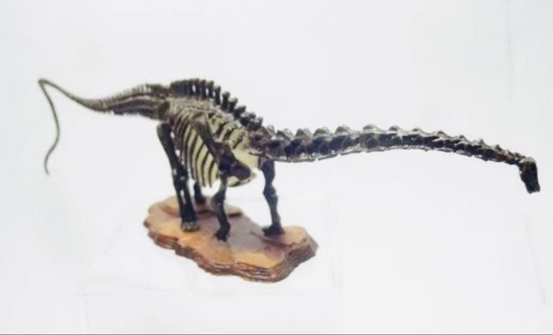 【限定3体セット】海洋堂スーパーサウルス/SUE/チュアンジェサウルス恐竜博公式