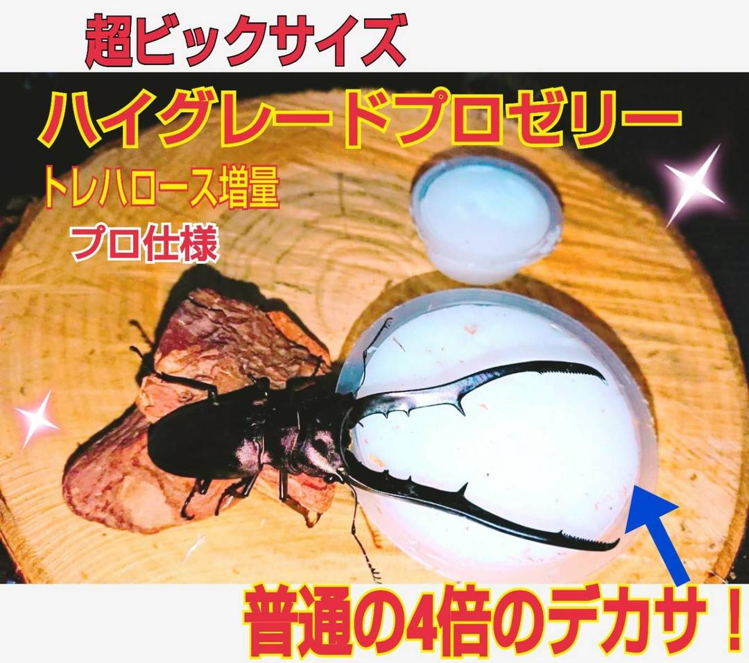 ビッグサイズ！ハイグレードプロゼリー☆200個　普通の4倍以上のデカサ！プロ仕様