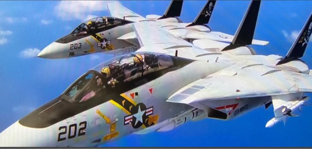 稀少絶版1/18 F-14A トム・キャット/VF84 (リニューアル版)