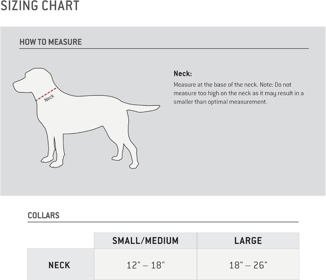 【NEW】Carhartt カーハート リード【L】＆首輪【M】ブラウン 中型犬