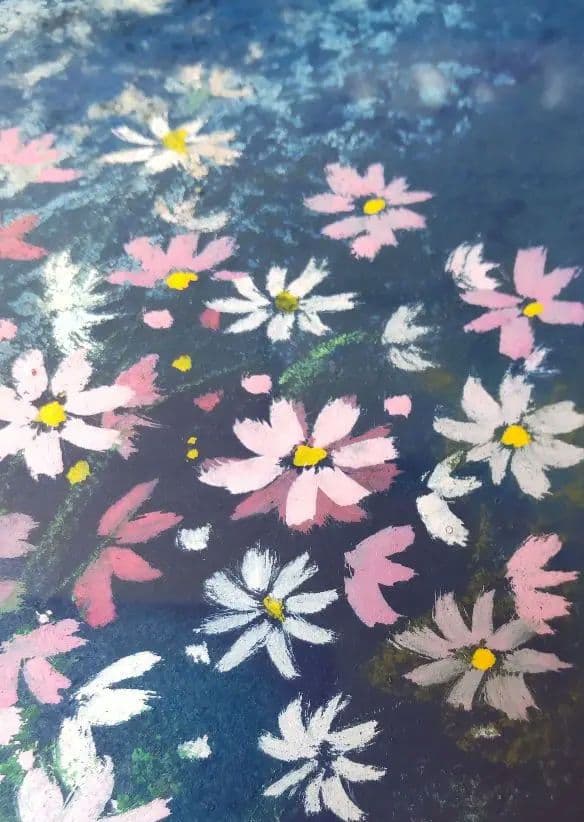 希少　荒木幸史『コスモス ファンタジー』