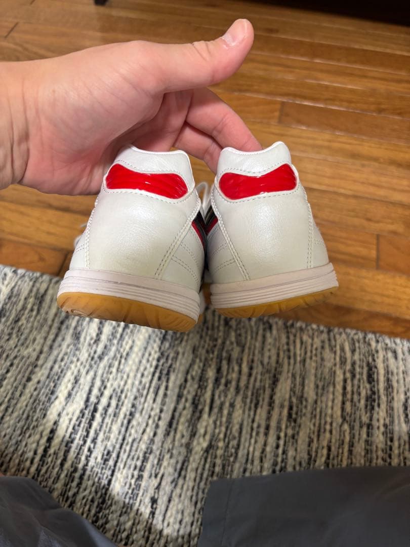 Mizuno モレリアイン　27.0