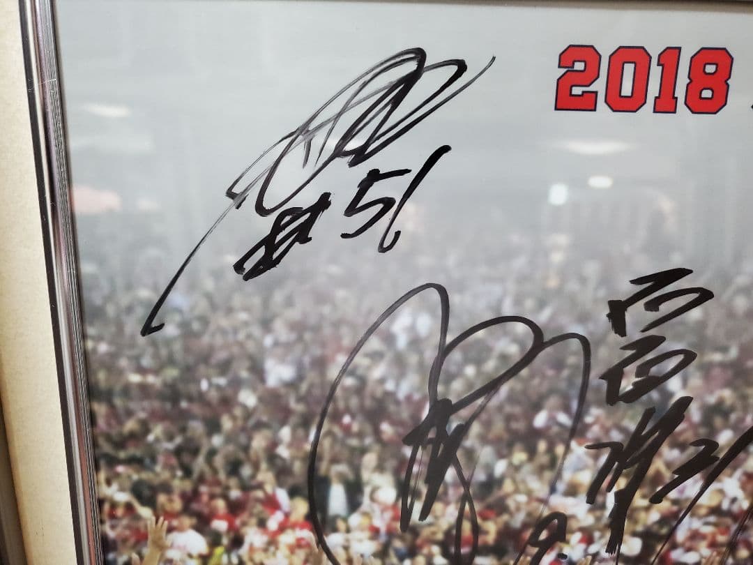 n*i様 限定品　広島東洋カープ 2018年3連覇 記念選手会サイン入り写真パネ