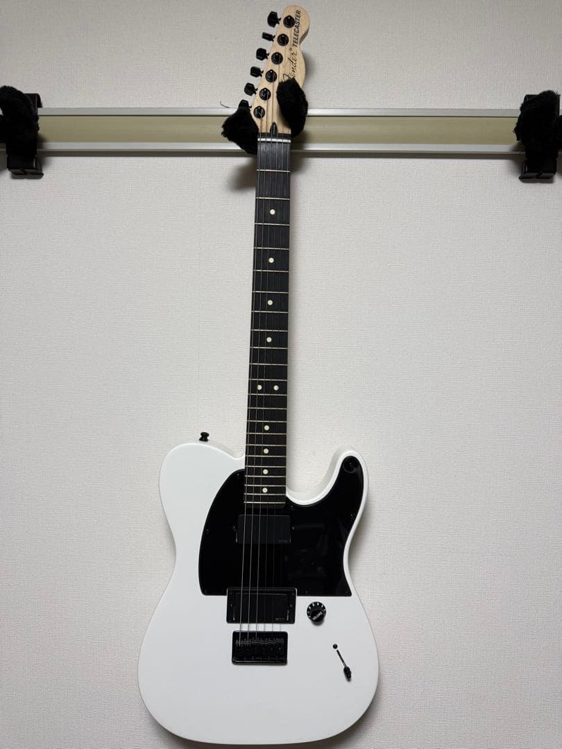 ギター Fender Telecaster jim root