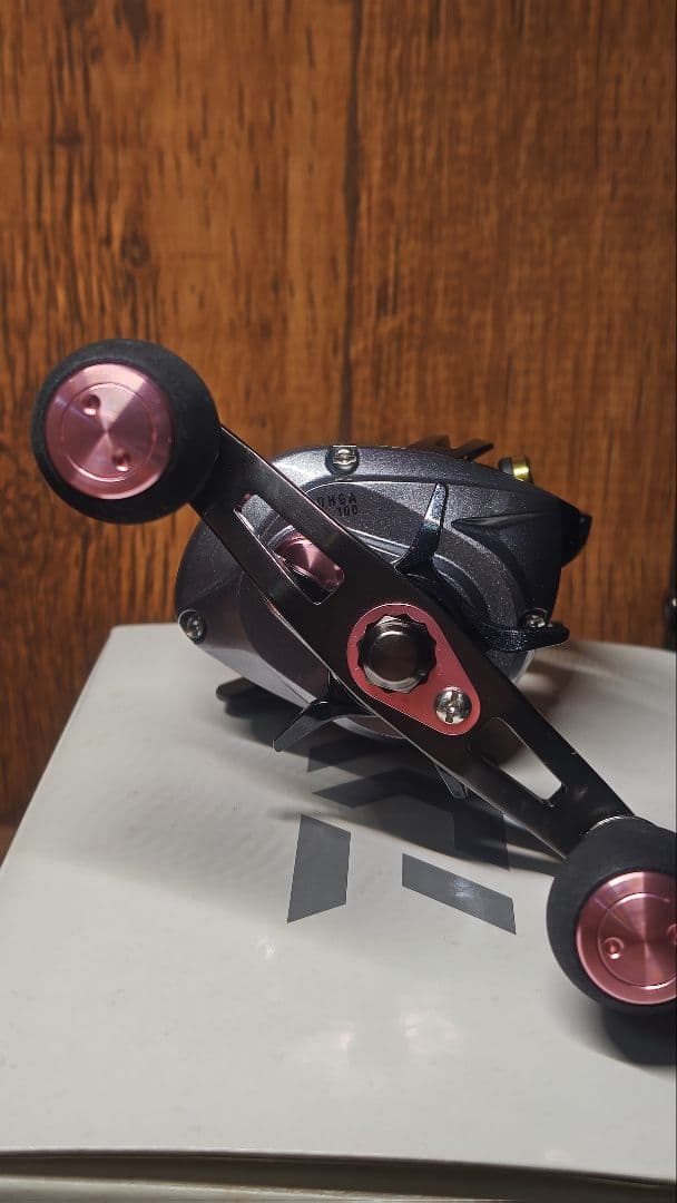 DAIWA 14紅牙100 ベイトリール